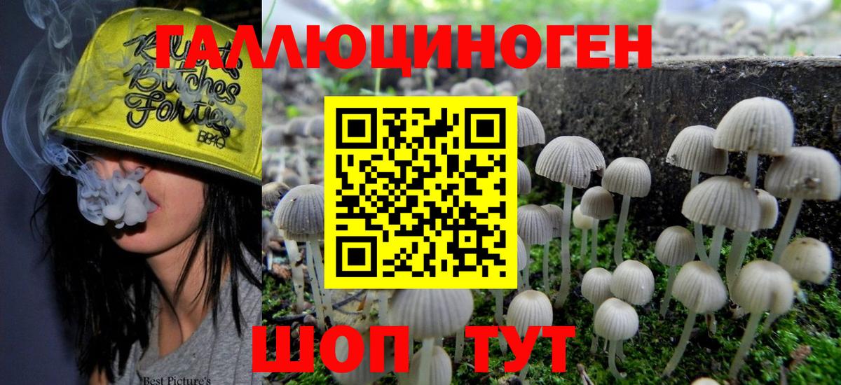 Псилоцибиновые грибы Psilocybine cubensis  Галлюциногенные грибы GOLDEN TEACHER  Вход с VPN  Нерюнгри 